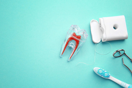 牙刷 塑料牙样机 牙科器械