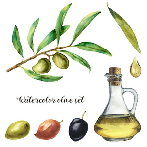 设置与橄榄的水彩画。手绘插画与橄榄浆果 瓶橄榄油和树枝与树叶 isolatedon 白色背景。为设计 打印和结构