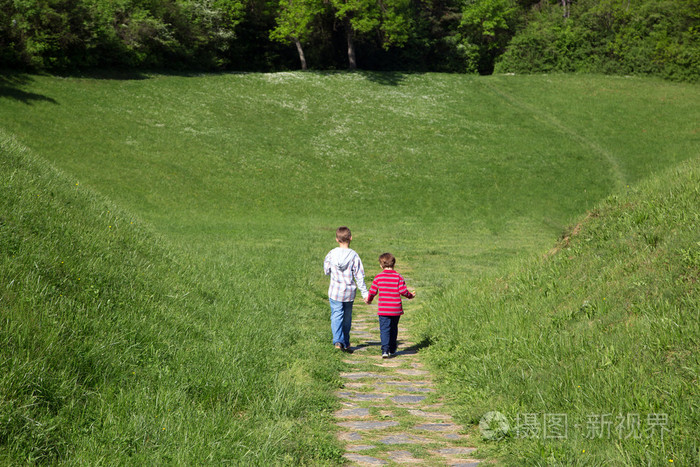 后视图的两个小男孩手牵着手,穿过田野,走向森林