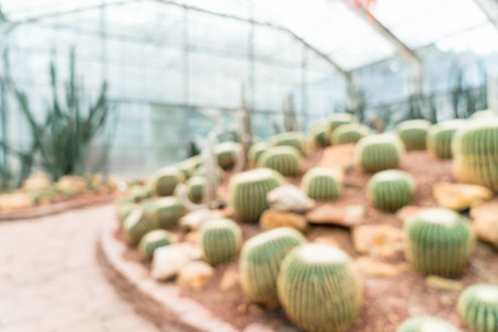 植物的抽象模糊仙人掌