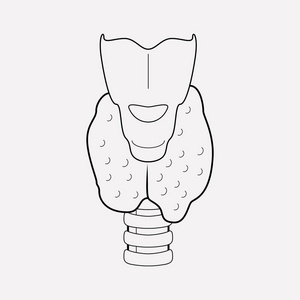 甲状腺图标图片-甲状腺图标素材-甲状腺图标插画-摄图新视界