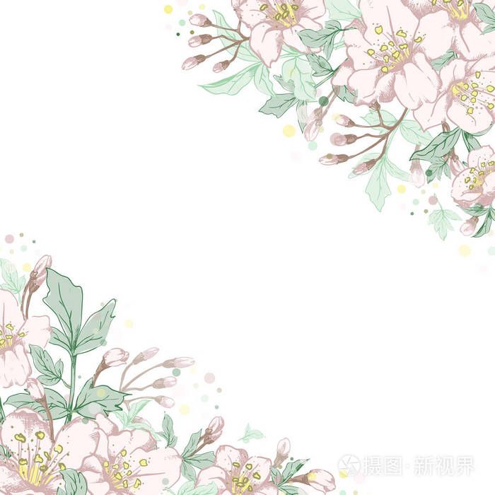 矢量与手绘花在白色背景上的柔和浅色的方形植物学横幅