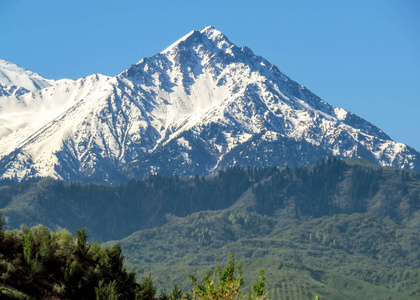 在阿拉木图山