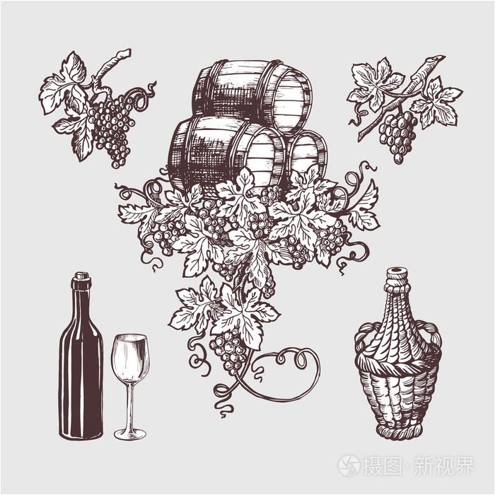 葡萄酒和酿酒套装.插画-正版商用图片0re8s9-摄图新视界