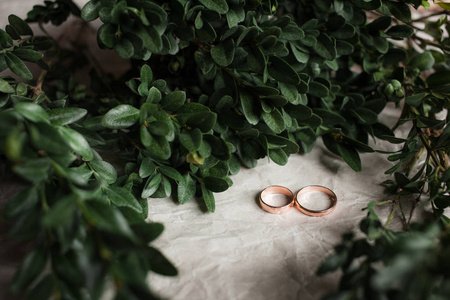 婚礼。在卡夫 Bumacov 与绿色多叶植物上的结婚戒指。在一个分支上的结婚戒指