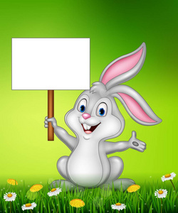 兔与空白符号