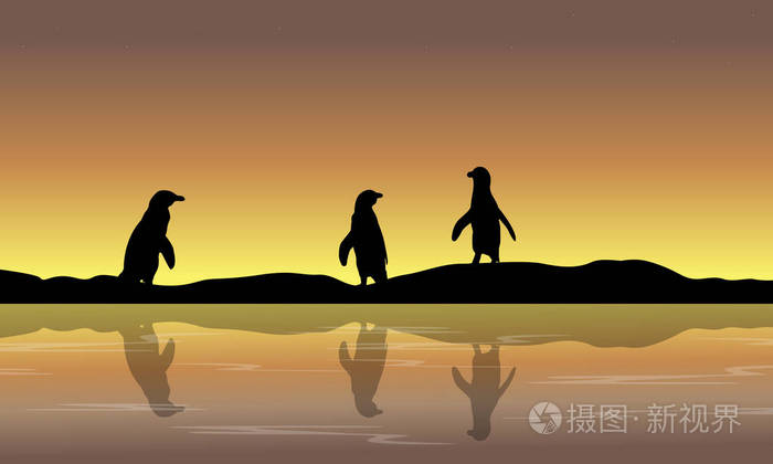集合企鹅风景剪影插画 正版商用图片0rekj7 摄图新视界