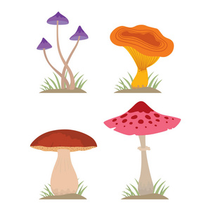 蘑菇煮食品和有毒性质餐素食健康秋天食用真菌有机蔬菜原料矢量图