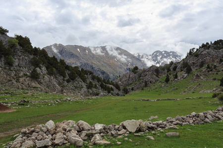 与草甸岩石和松树山风景