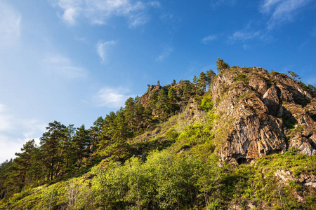 夏天的风景, 山坡上有山和松树。阿尔泰山脉, 南西伯利亚