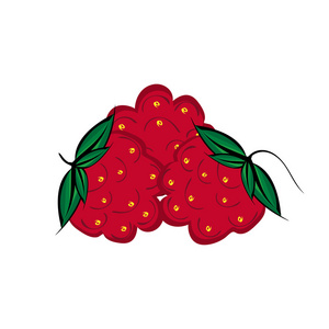 手绘木莓浆果关闭了图片