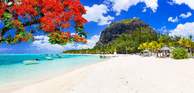 美丽海滩，阳光明媚的毛里求斯岛。热带度假