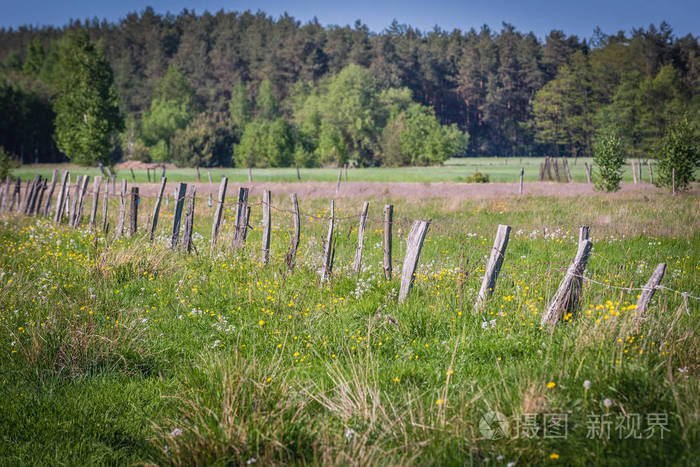波兰 Masovian 省绿色牧草围栏