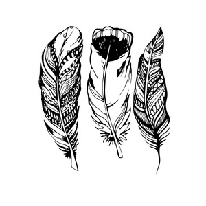 羽毛矢量插图艺术图标鹅毛笔符号