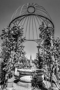 盛开的欧洲花园。黑白照片