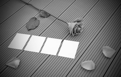 玫瑰花上木，黑色和白色色调与空信纸