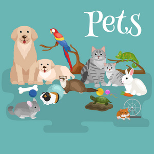 家养动物家庭宠物设置，猫狗鹦鹉金鱼仓鼠