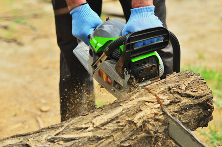 一个人用锯子和专业工具砍树.关心自然.春天花园.