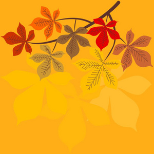 秋天背景以叶子和分支栗子图片