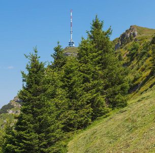 瑞士夏季 Rigi 的坡度。Rigi 是一个受欢迎的旅游胜地, 可由山架铁路进入。