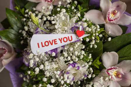 枝花和蝴蝶图片 枝花和蝴蝶素材 枝花和蝴蝶插画 摄图新视界