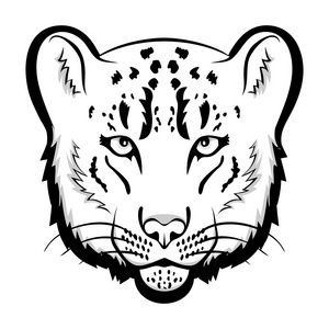 雪豹头孤立的矢量图照片