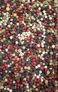 胡椒粒的不同种类和不同颜色的背景