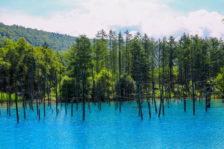 温泉城外的蓝色池塘是白金温泉镇的命名后, 是深蓝色的, 它欠自然矿物溶解在水中
