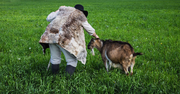 牧羊人和羊在草地上照片