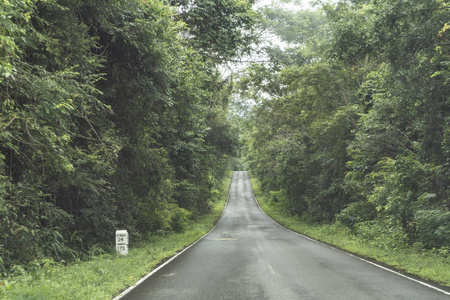 模糊公园与散景光一条长的路在雨天在自然背景下