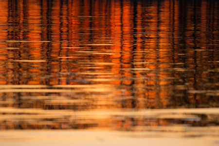 彩色日落灯的水背景