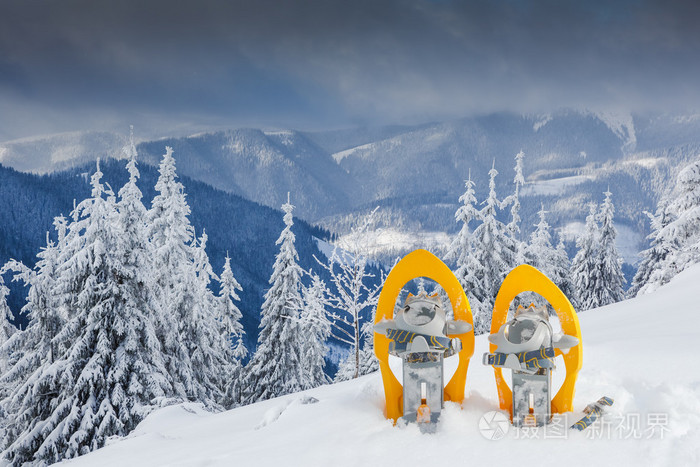 雪在雪山