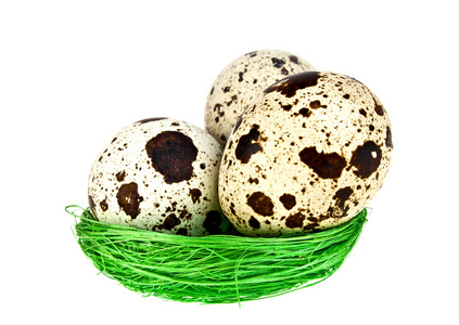鹌鹑蛋在白色背景上的绿色鸟巢