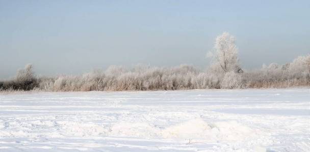 雪中的树木, 冬日的风景