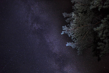 繁星点点的夜空美丽的景色