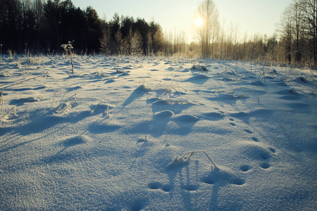 白雪皑皑的冬天风景