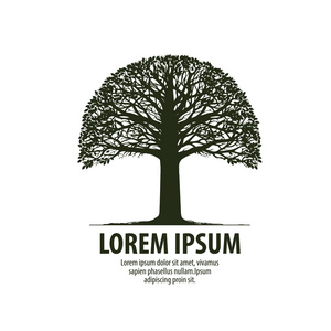 那棵大树图图片