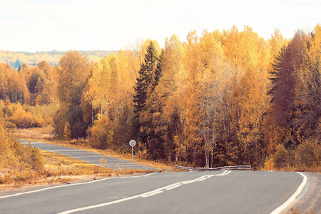 公路的秋景