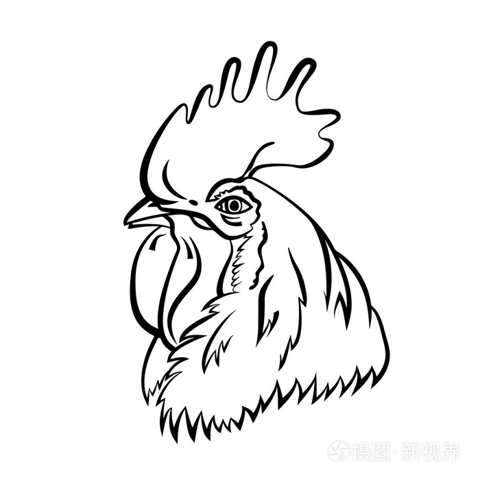 孤立的公鸡头矢量图插画-正版商用图片0rgh78-摄图新视界
