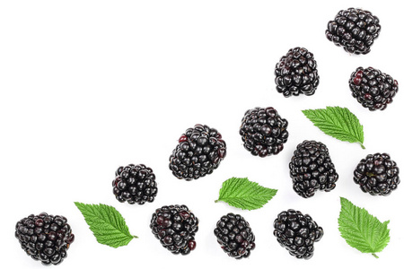 新鲜黑莓与叶子在白色背景被隔绝与拷贝空间为您的文本。顶部视图。平躺模式