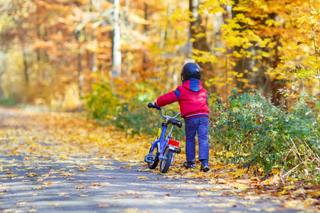 小家伙在秋天的树林自行车的男孩