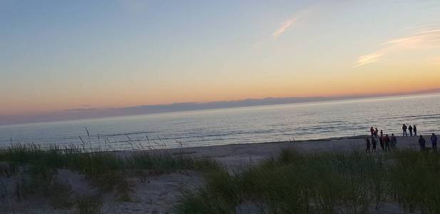 波罗的海海滩, 海滨, 海岸线在夏季傍晚日落