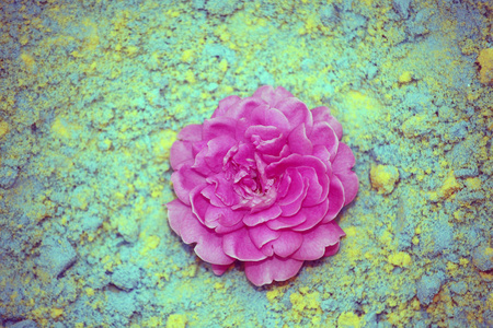 粉红玫瑰彩砂图片