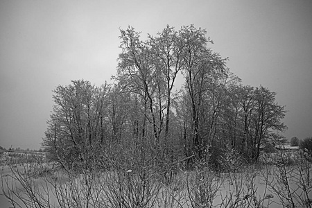 白雪皑皑的冬季风景图片