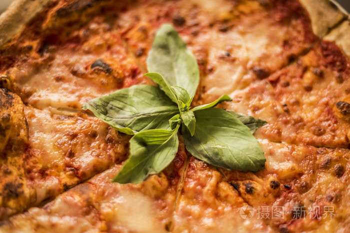 有绿色的罗勒叶的披萨