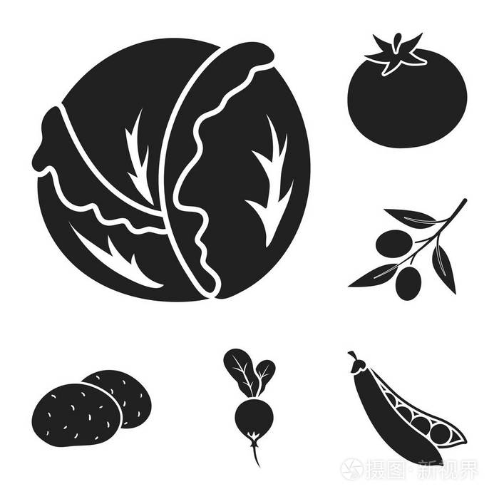 蔬菜和维生素矢量符号股票网站插图