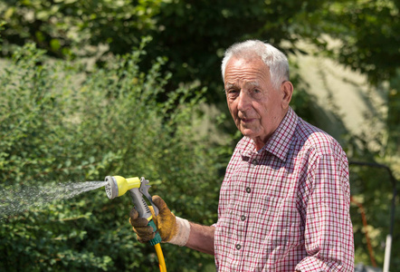 在花园里用手持在软管上浇水的老人。照顾后院
