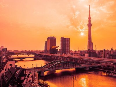 美丽的城市景观与东京天空树周围的建筑和东京城市的建筑在日出时日本