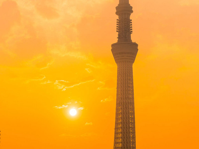 美丽的城市景观与东京天空树周围的建筑和东京城市的建筑在日出时日本