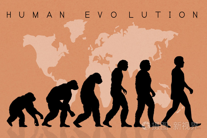 人类进化示意图简笔画图片